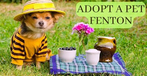Adopt a pet fenton - Adopt A Pet of Fenton, Michigan. December 16, 2021 · This Saturday you can start the journey of becoming a volunteer. SAT, DEC 18, 2021. New Volunteer Orientation (Part 1 of 2) Adopt A Pet of Fenton, Michigan · Fenton, MI.